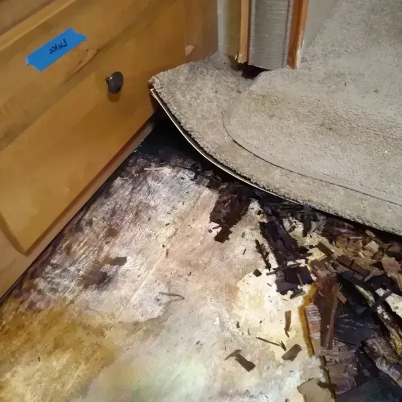 Wood Floor Water Damage in Sibley County, MN